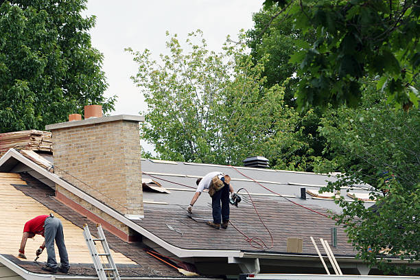 Best Storm Damage Roof Repair  in Wellington, OH