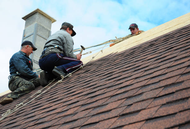 Best Storm Damage Roof Repair  in Wellington, OH